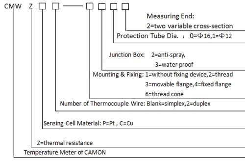 platinum-rtd-assembly-sensor-2.jpg