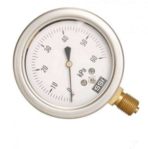 China Manufacture Stainless Steel (normal) Bourdon Tube Heat-proof Vibration-proof Pressure Gauge